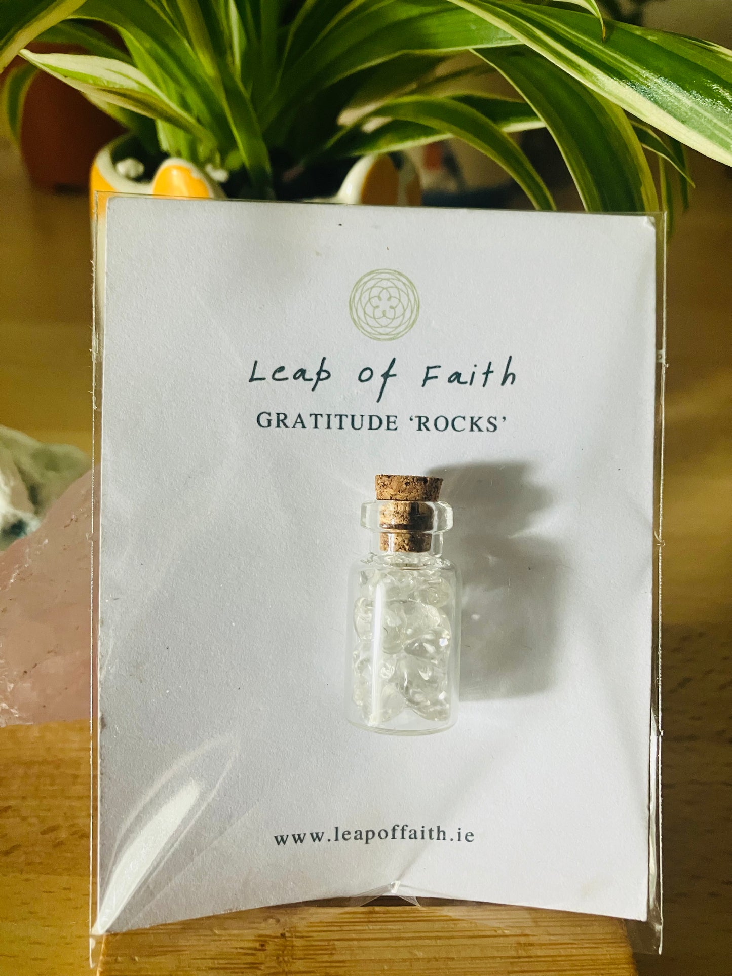 Wish Jars | Gratitude Rocks!