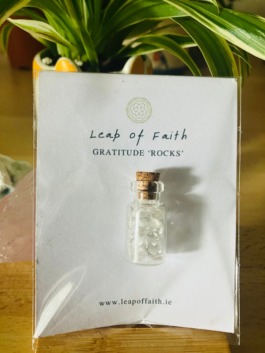 Wish Jars | Gratitude Rocks!